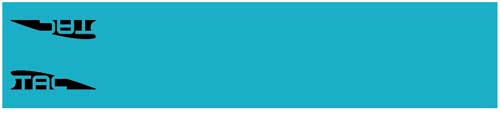 TAC VANES 4.675" Standard Turquoise Arrow Wraps 13-Pack