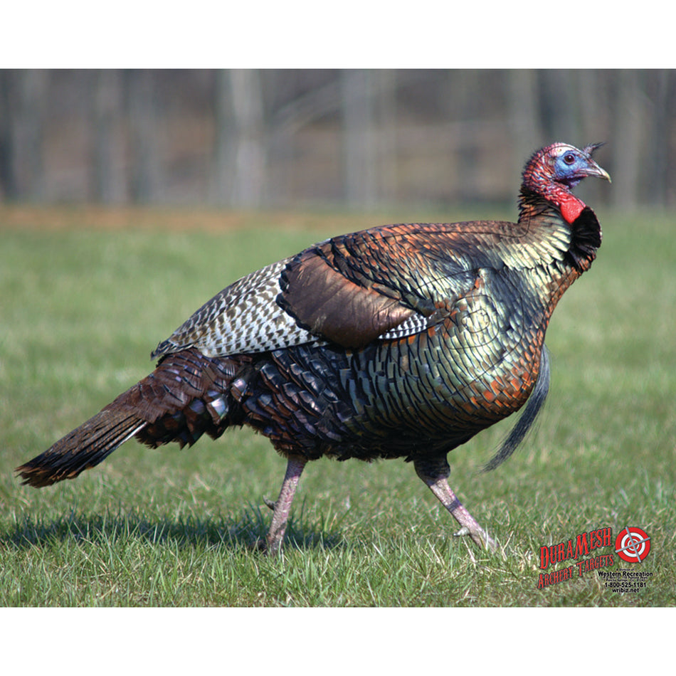 DuraMesh Turkey Archery Target 32 in. x 25 in.