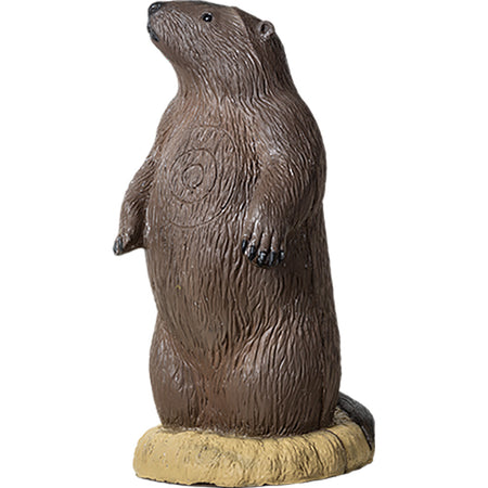 Rinehart Groundhog Archery Target with Scoring Rings 22x24