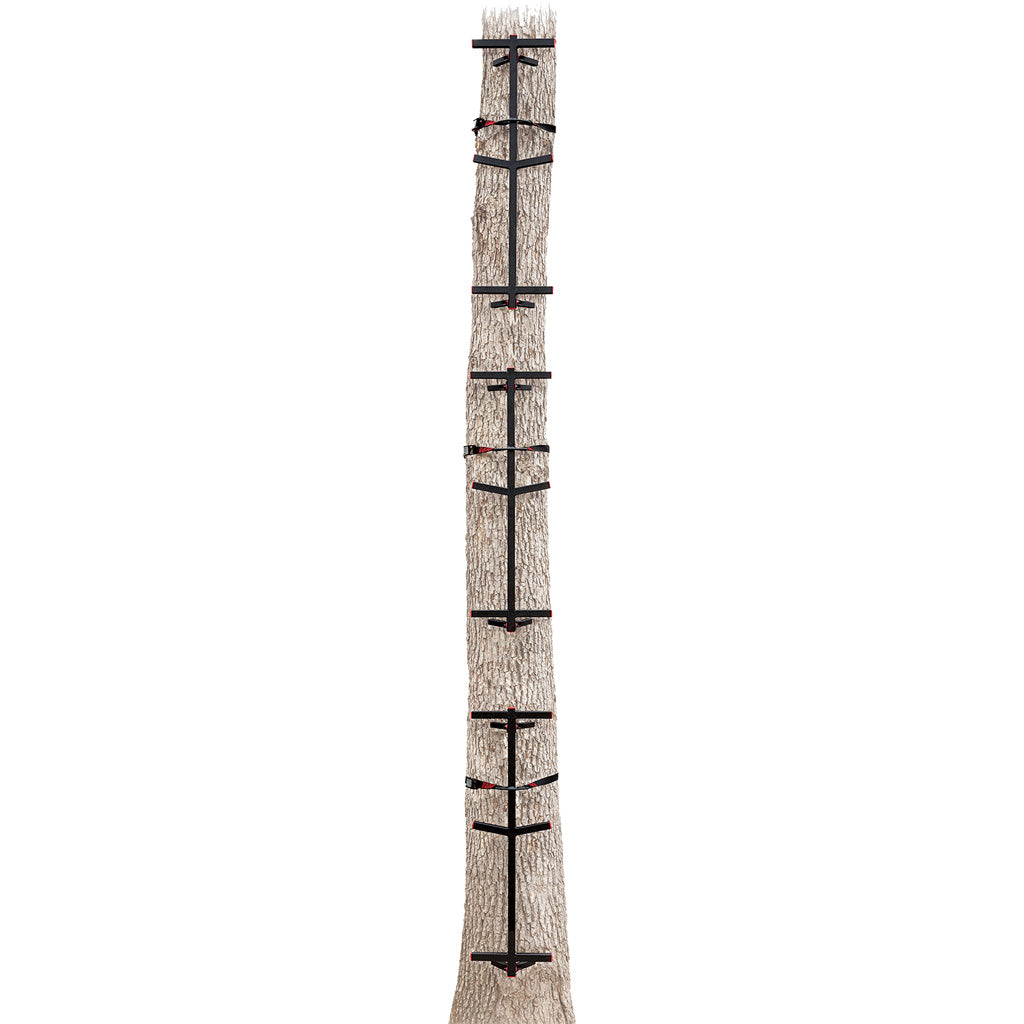 Primal Fast Stick Climbing Sticks Steel 3 pk. Independent Sections