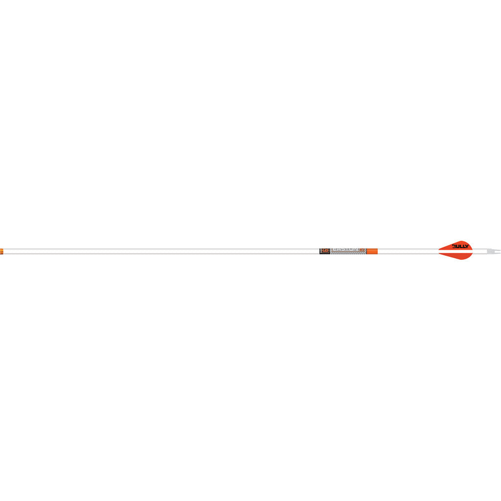 Easton 6.5mm Whiteout 500 Spine Carbon Arrows 2 in. Bully Vanes 6 pk.