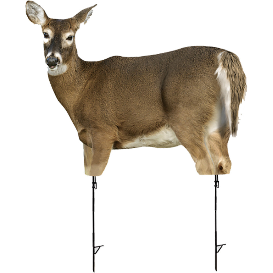 Montana Decoy Trixie Realistic Whitetail Doe Decoy