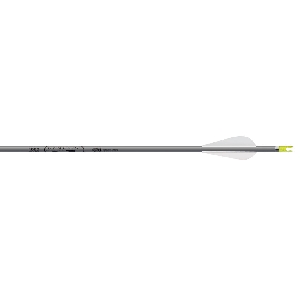 Easton Genesis Aluminum Arrows 3 in. Vanes Silver 6 pk.