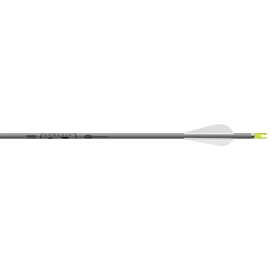 Easton Genesis Aluminum Arrows 3 in. Vanes Silver 36 pk.