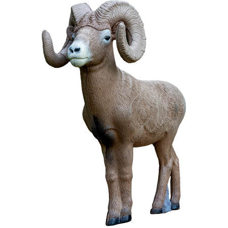 Rinehart Signature Bighorn Sheep 3D Archery Target Half Scale