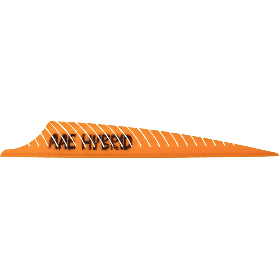 AAE Hybrid PHNX Sunset Gold Arrow Vanes 50 pk. - 3.5 Inch