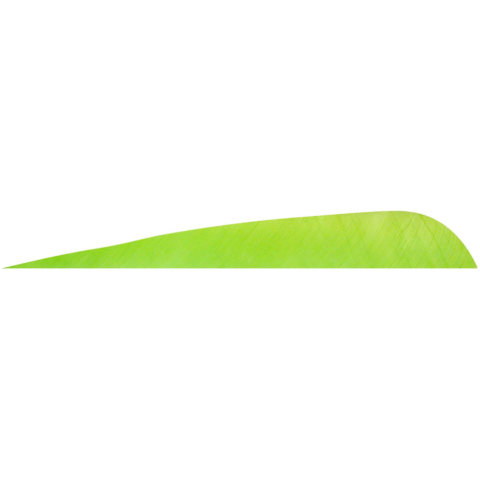Gateway 4 in. RW Parabolic Arrow Feathers Chartreuse 12 pk.