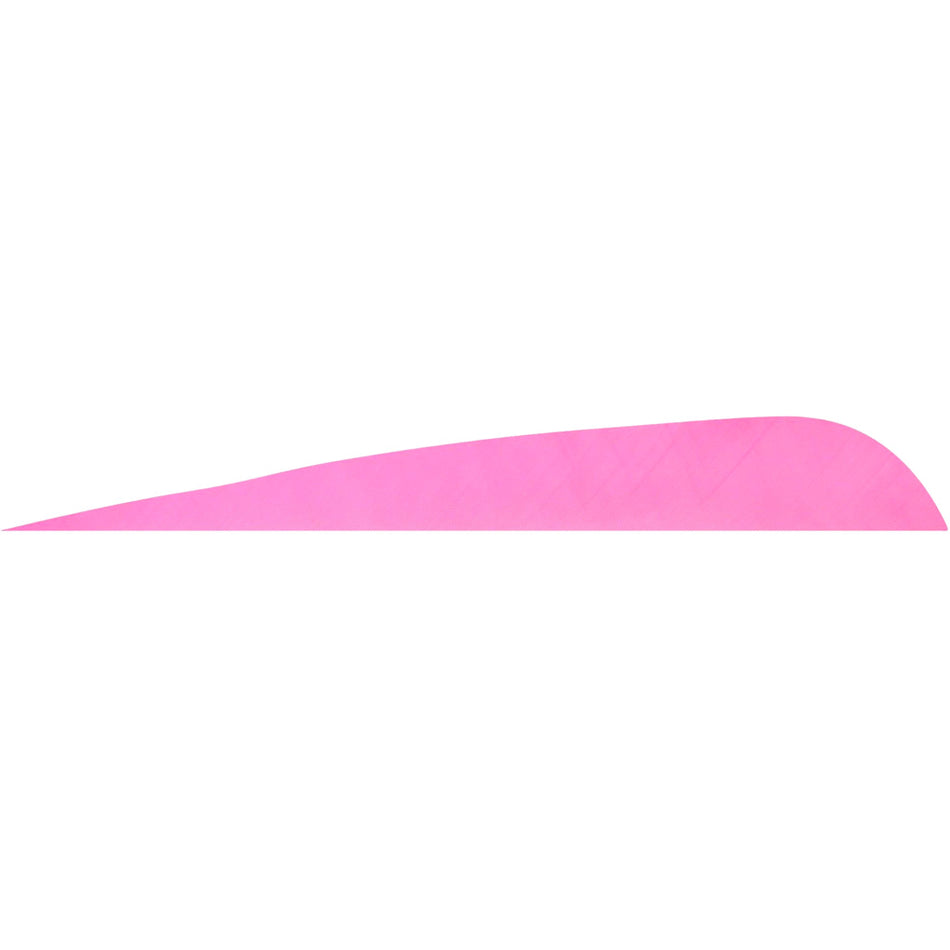 Gateway 4 in. RW Parabolic Arrow Feathers Pink 12 pk.