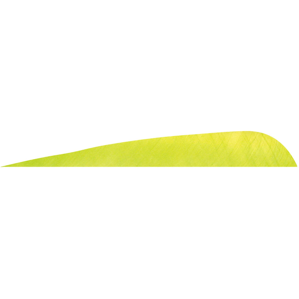 Gateway 5 in. RW Parabolic Arrow Feathers Lime 12 pk.