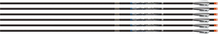 Easton Sonic 6.0 Match 500 w/ AAE Hybrid Vanes 6-Pack Arrows