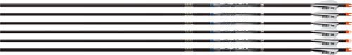 Easton Sonic 6.0 Match 500 w/ AAE Hybrid Vanes 6-Pack Arrows