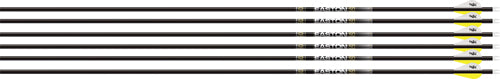 Easton 5.0 400 Arrow 6-Pack with 2" Blazer Vanes HIT Insert
