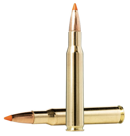 Norma .30-06 Springfield 20174342 Dedicated Hunting Tipstrike Polymer Tip PT 170 Grain