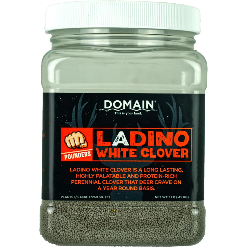 Domain Pounder Ladino White Clover Seed 1 lb for 1/16 Acre Food Plot