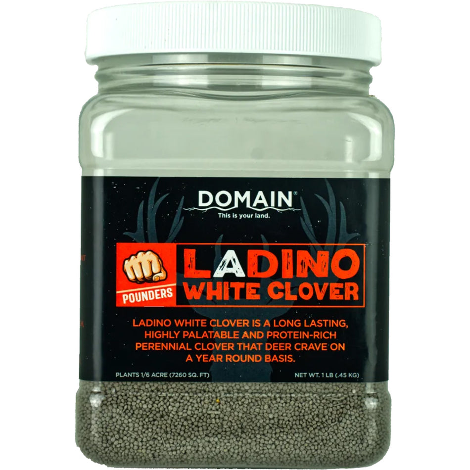 Domain Pounder Ladino White Clover Seed 1 lb for 1/16 Acre Food Plot