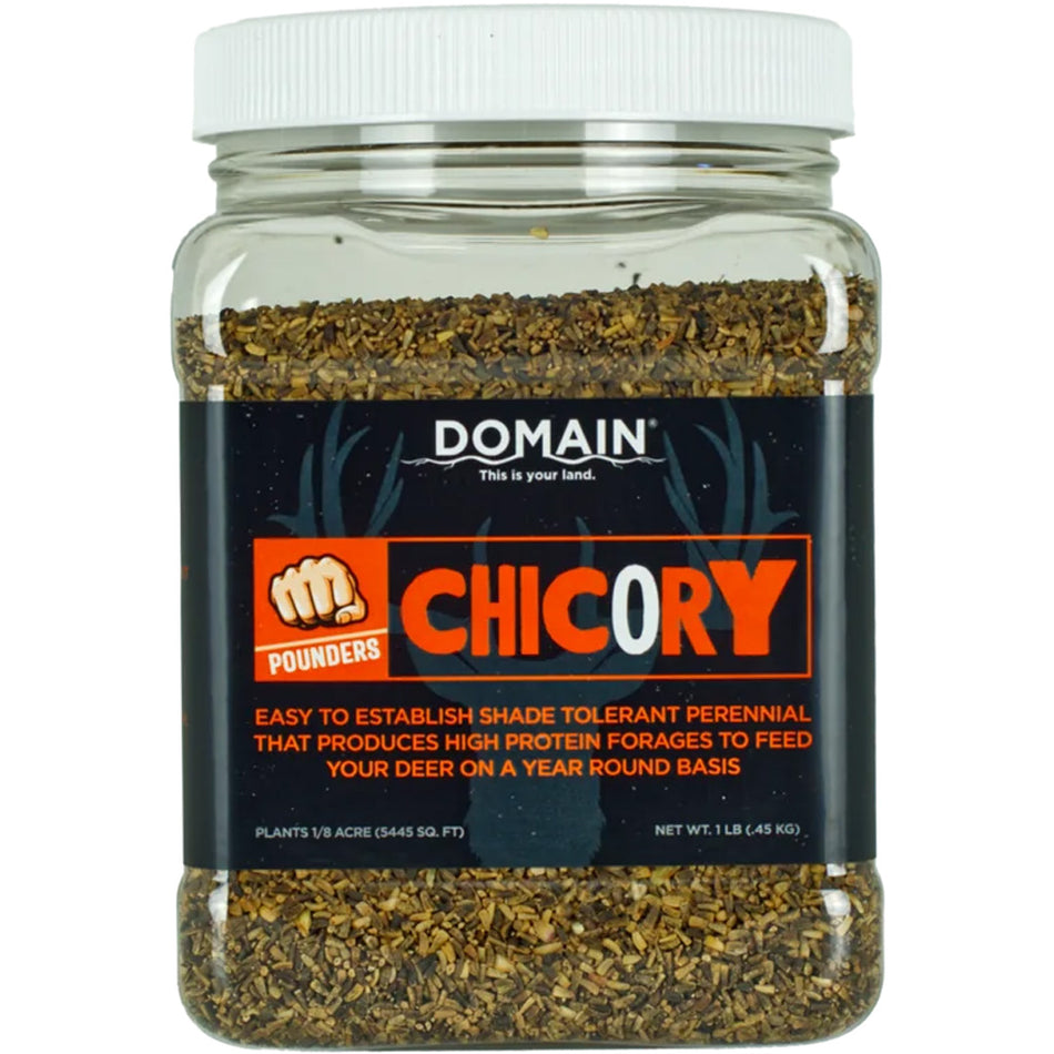 Domain Pounder Chicory Seed for 1/8 Acre Food Plots