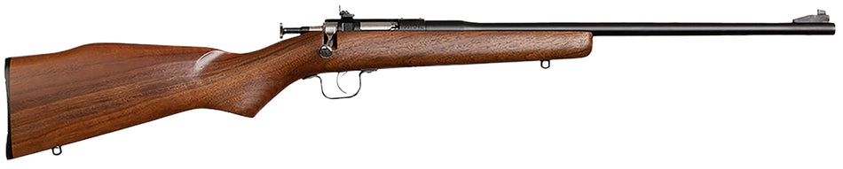 Chipmunk Youth .22 LR Single-Shot Rifle - Blued/Walnut