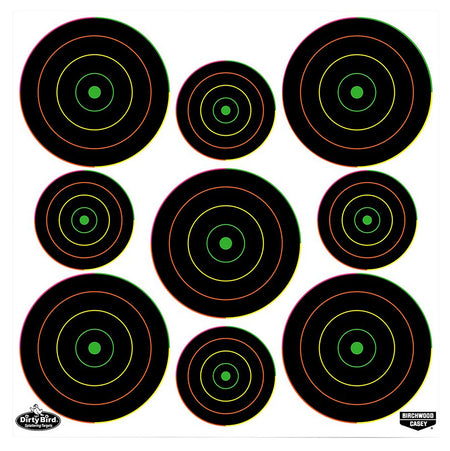 Birchwood Casey Dirty Bird 35828 Bullseye Tagboard Hanging Pistol/Rifle Target Black/Green 20 Pack