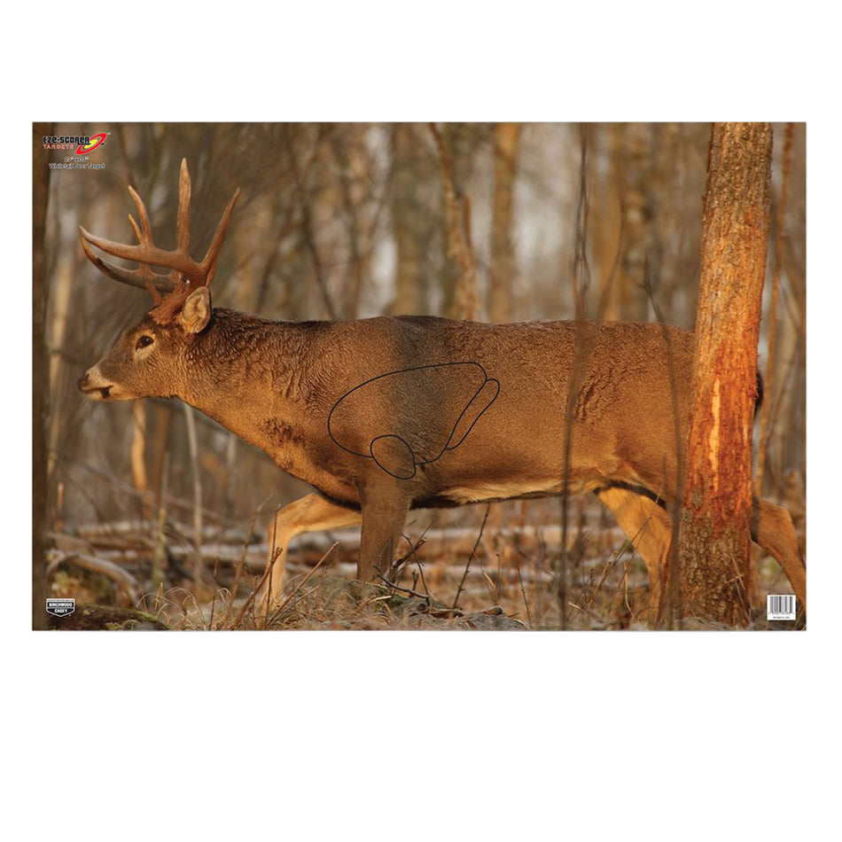 Birchwood Casey 37481 EZE-Scorer 23"x35" Whitetail Deer Paper Target Multi-Color 2 Pack