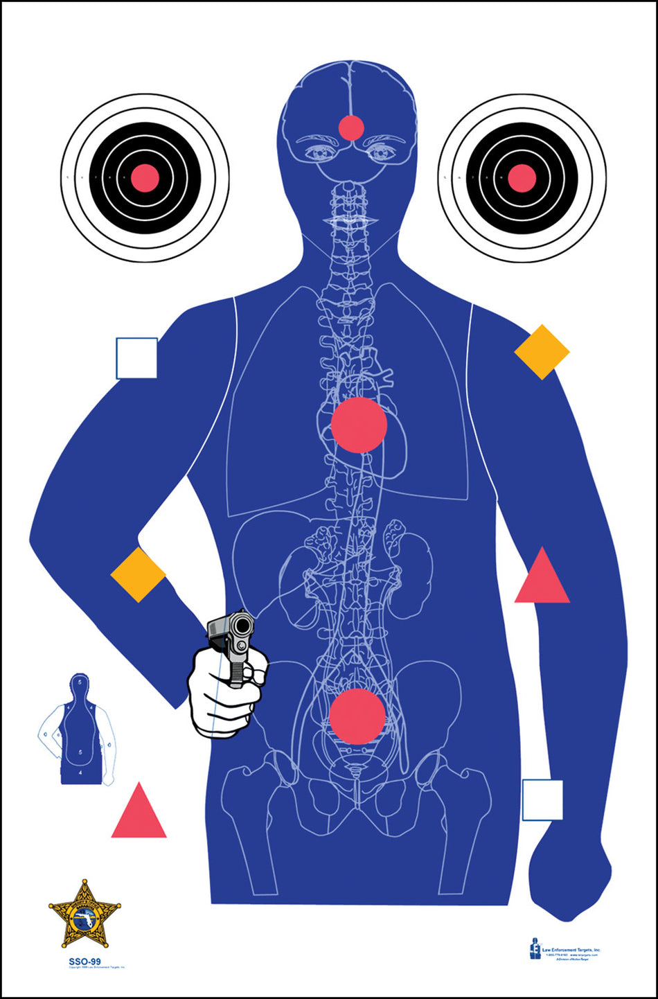 Action Target SSO99100 State-Specific Qualification Silhouette Hanging Target Blue 23"x35" 100 Per Box