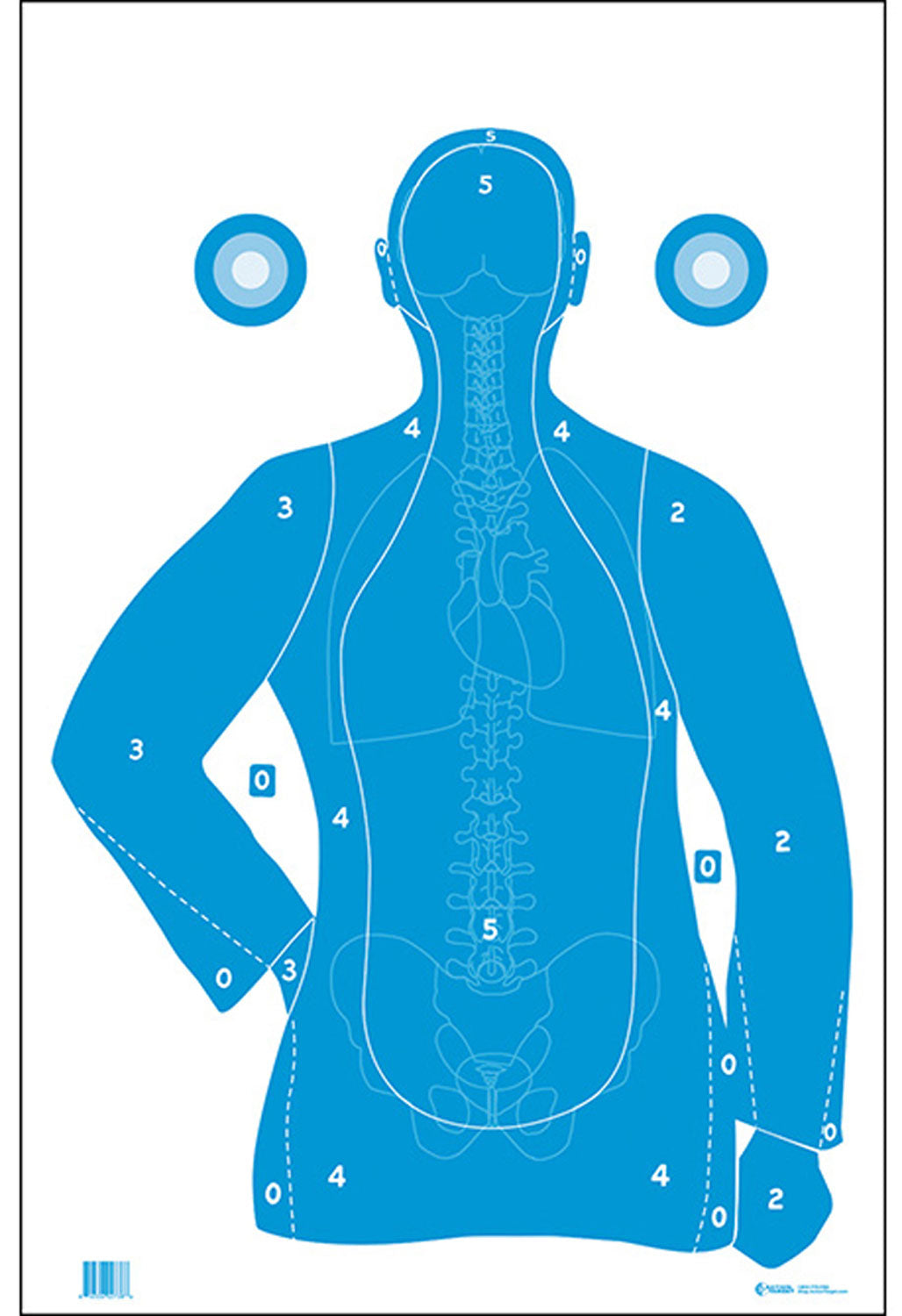 Action Target FB21EANTAV2100 B-21E Vital Anatomy Qualification Paper Target 23x35 Blue/White 100 Per Box