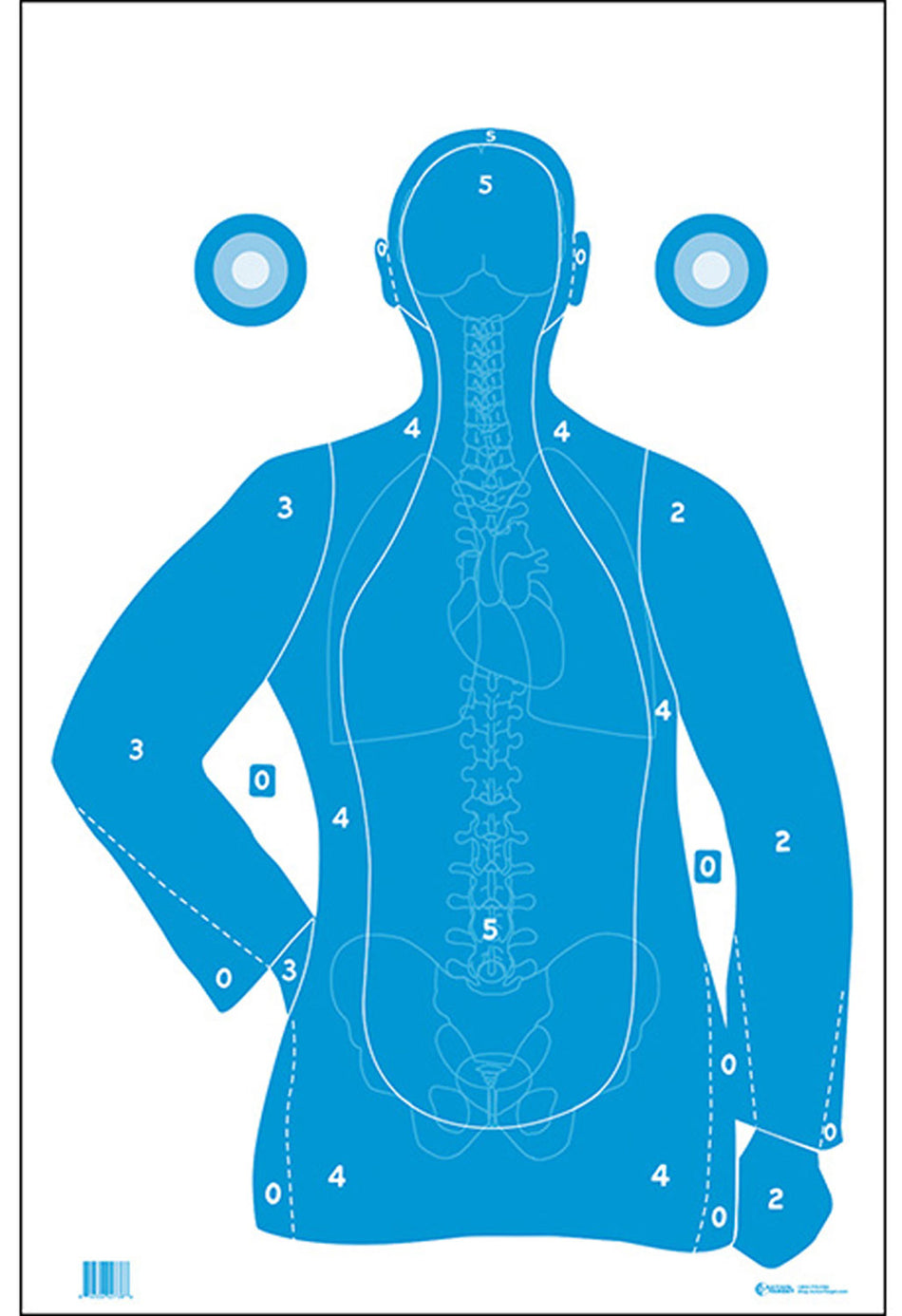 Action Target FB21EANTAV2100 B-21E Vital Anatomy Qualification Paper Target 23x35 Blue/White 100 Per Box