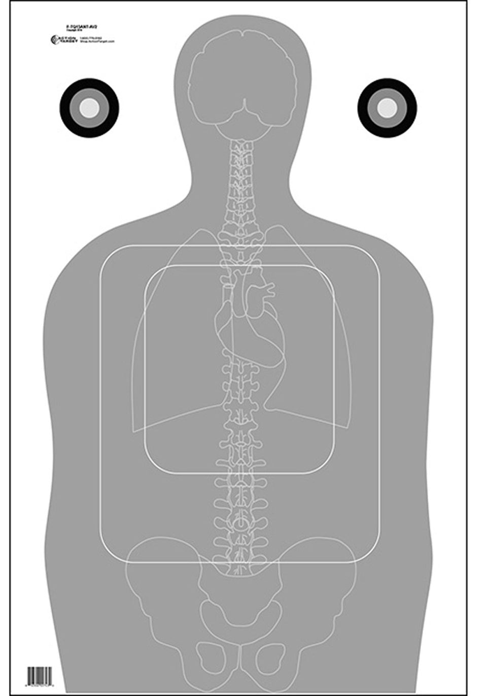 Action Target FTQ15ANTAV2100 Qualification Silhouette and Anatomy Paper Hanging Target 23x35 100 Per Box
