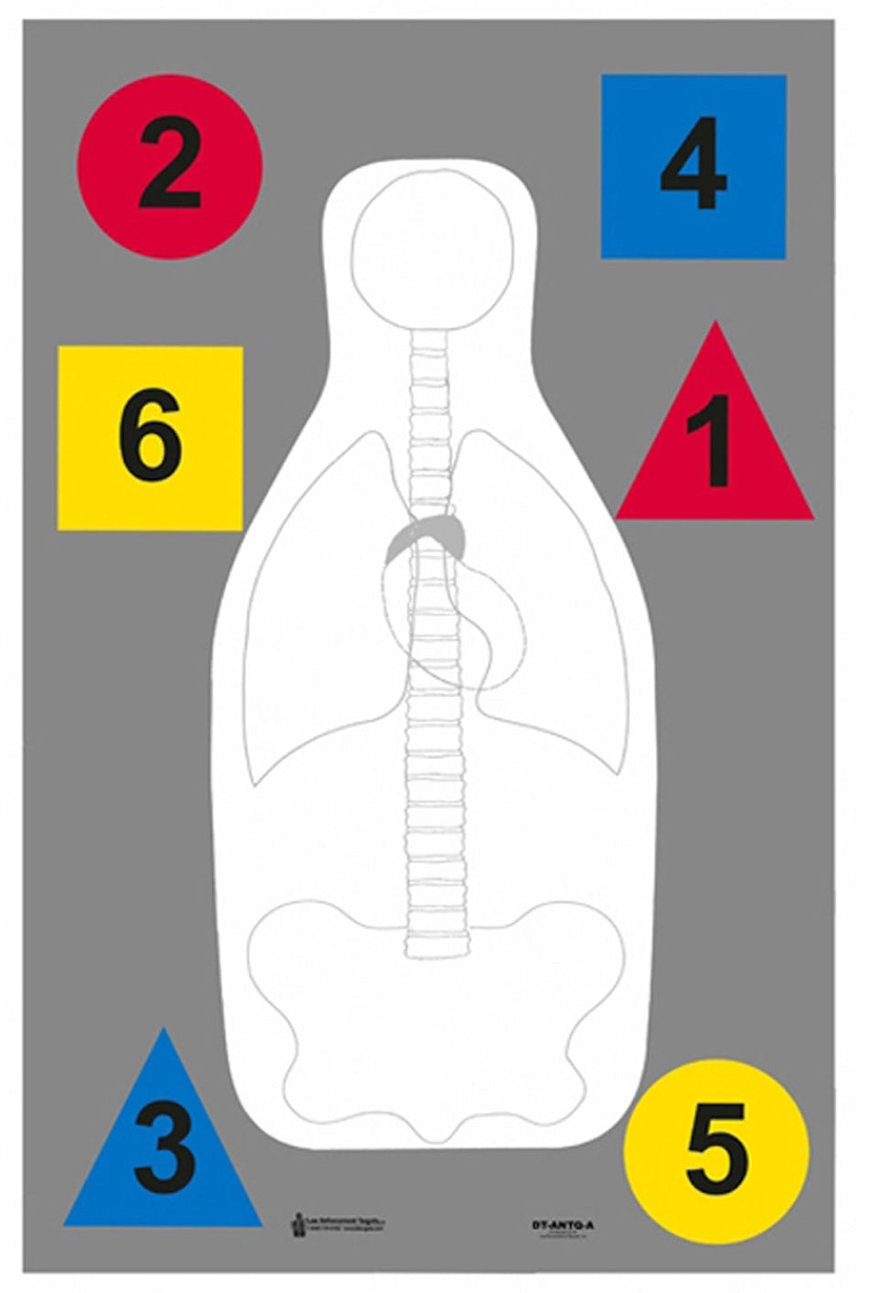 Action Target DTANTQA100 Training Multi-Purpose Anatomy Silhouette Paper Target 23x35 100 Per Box