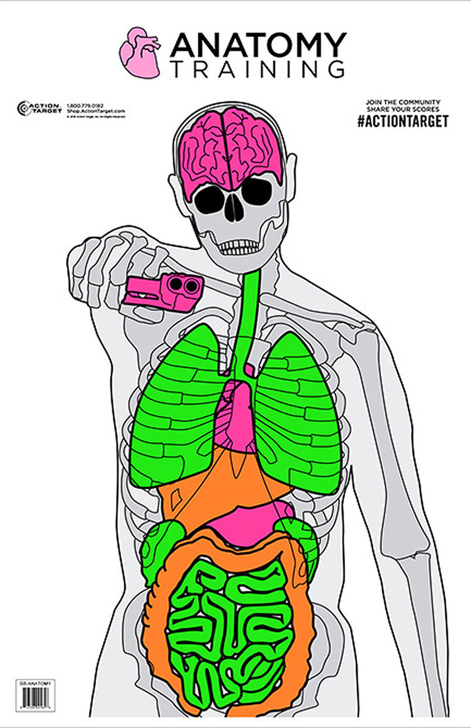 Action Target GSANATOMY100 Fluorescent Vitals Anatomy Silhouette Paper Shooting Target 23"x35" 100-Count