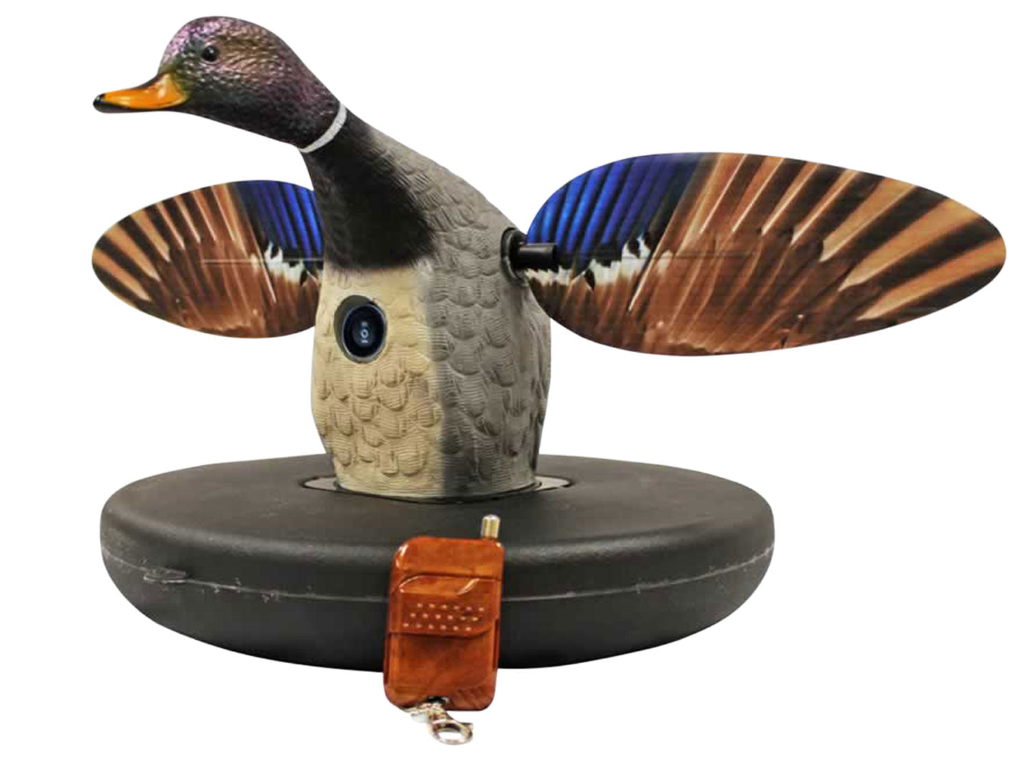 Mojo Outdoors HW2494 Elite Series Mallard Drake Floater Spinning Decoy Remote Control