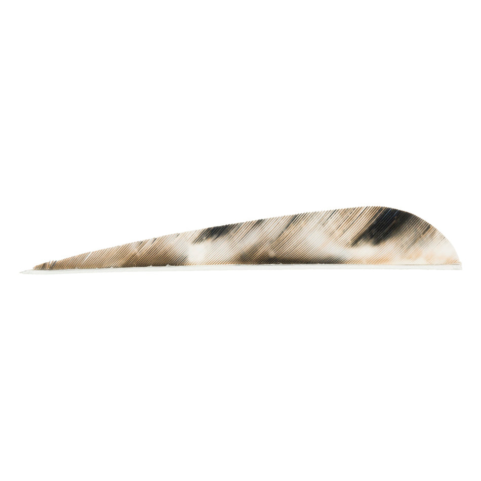 Gateway TreBark Camo Parabolic Feathers Tre-Bark 4 in. RW 100 pk.