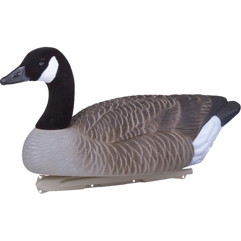 Flambeau Canada Goose Floating Decoy Set of 4 with Proprietary Keel Design