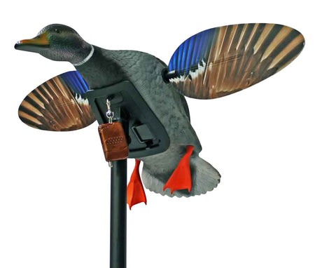 Mojo Outdoors HW24873P Elite Series Mini Mallard Drake Duck Decoy Multi Color with Remote