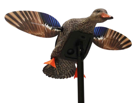 Mojo Outdoors Elite Series Mini Hen Mallard Spinning Wing Decoy with Remote, Multi Color Plastic