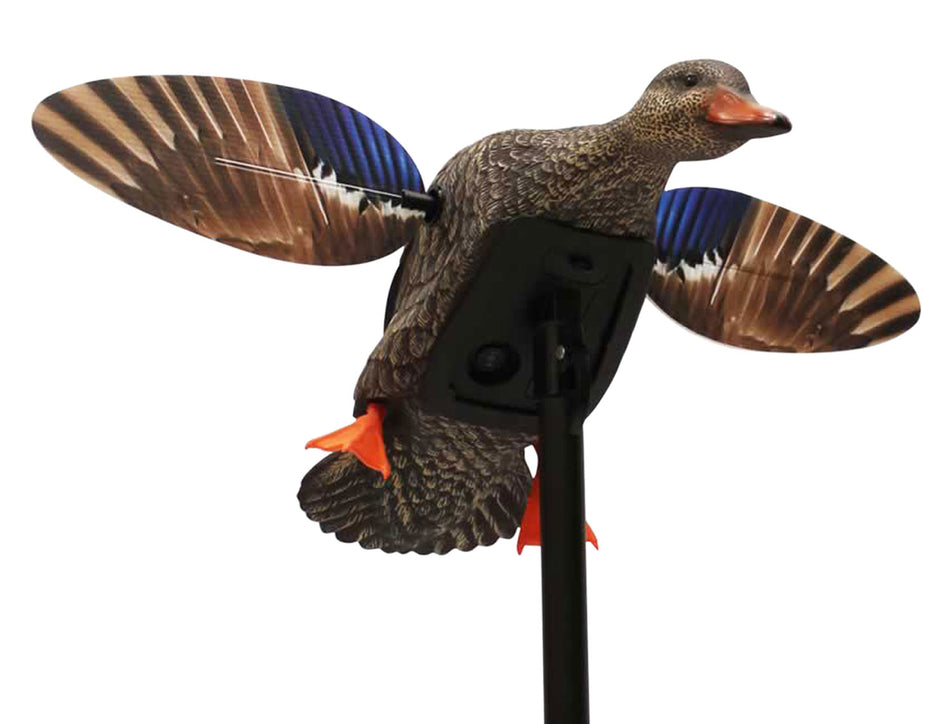 Mojo Outdoors Elite Series Mini Hen Mallard Spinning Wing Decoy with Remote, Multi Color Plastic