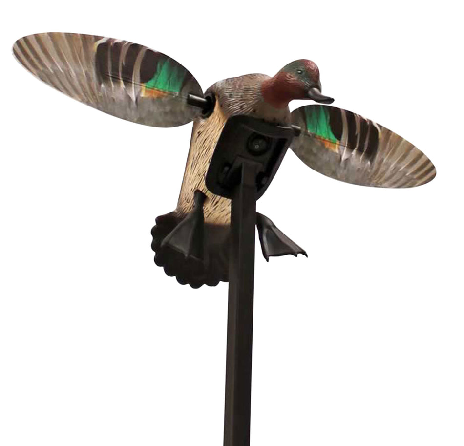 Mojo Outdoors Elite Series Green Wing Teal Duck Decoy, Remote Compatible, Natural Molded Plastic