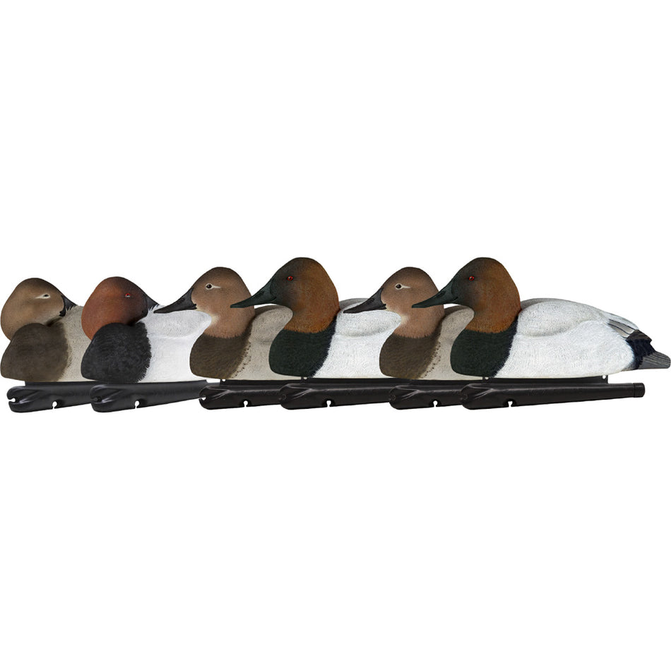 AvianX Top Flight Duck Decoys Full Body Canvasbacks 6 Pack