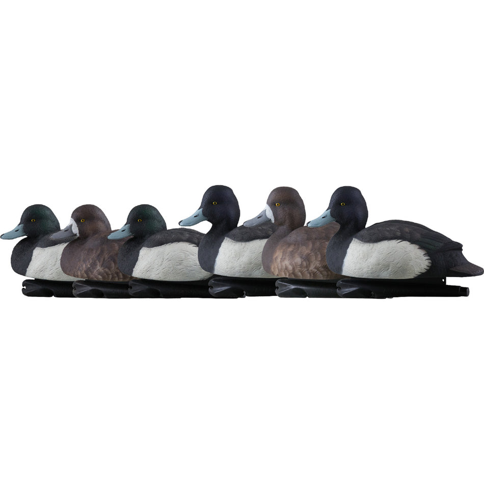 AvianX Top Flight Duck Decoys Full Body Blue Bills 6 Pack