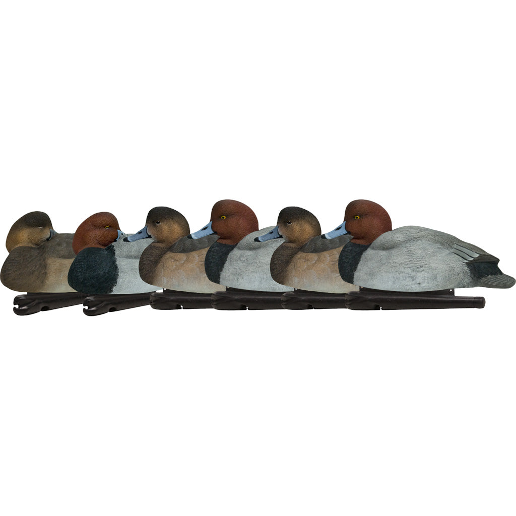 AvianX Top Flight Duck Decoys Full Body Redheads 6 Pack