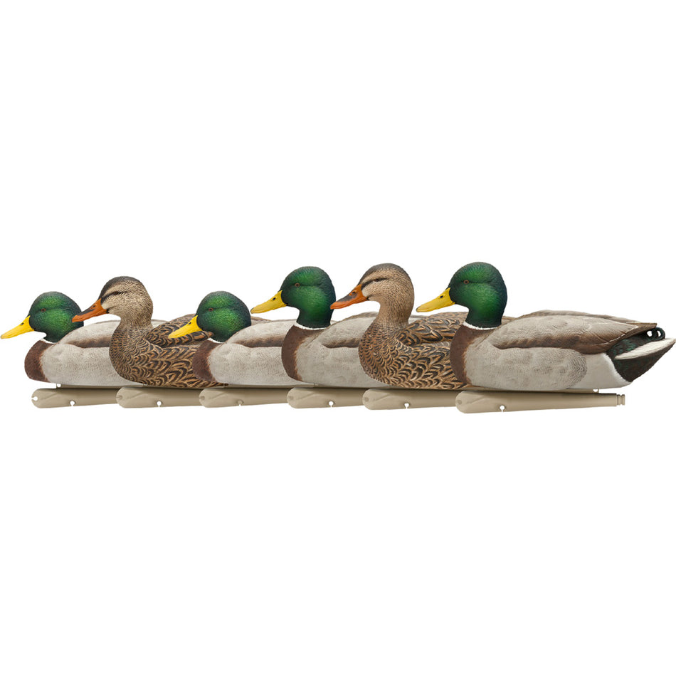 AvianX Top Flight Duck Decoys Open Water Mallards 6 Pack