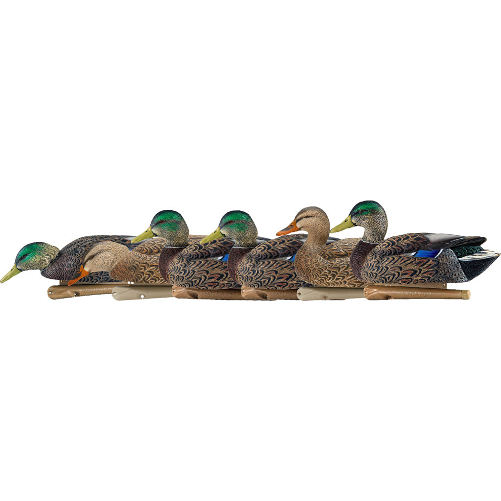 AvianX Top Flight Duck Decoys Early Season Mallards 6 Pack