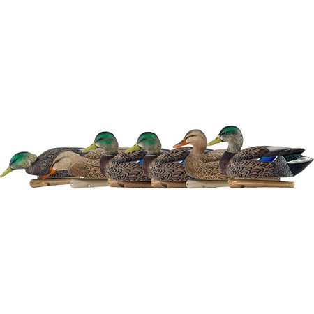 AvianX Top Flight Duck Decoys Early Season Mallards 6 Pack