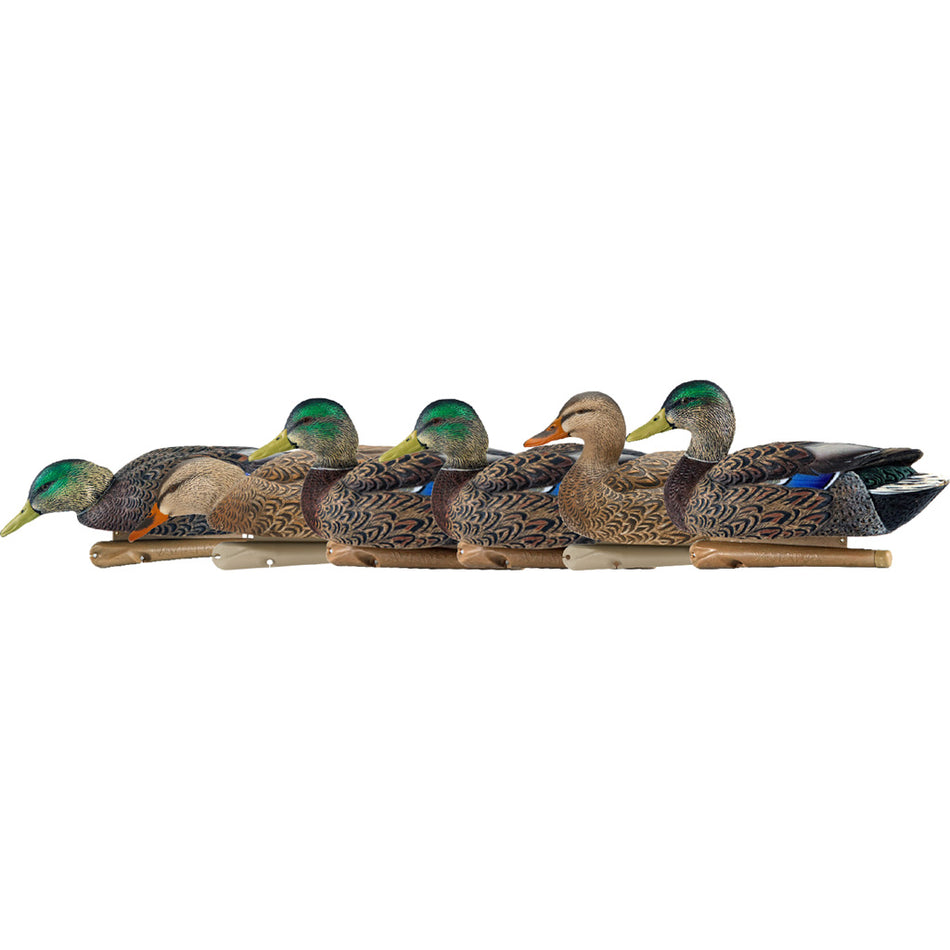 AvianX Top Flight Duck Decoys Early Season Mallards 6 Pack