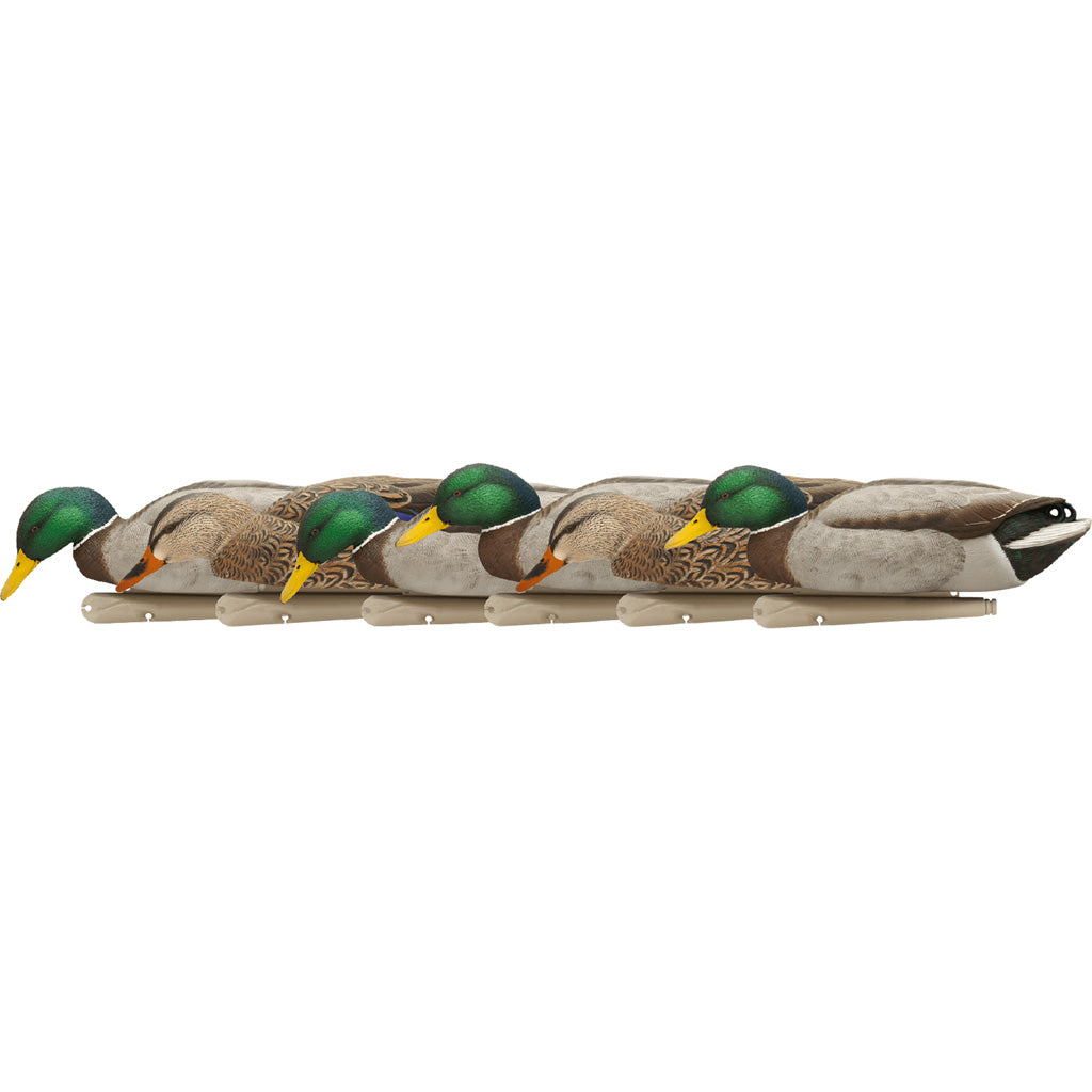 AvianX Top Flight Duck Decoys Backwater Mallards 6 Pack