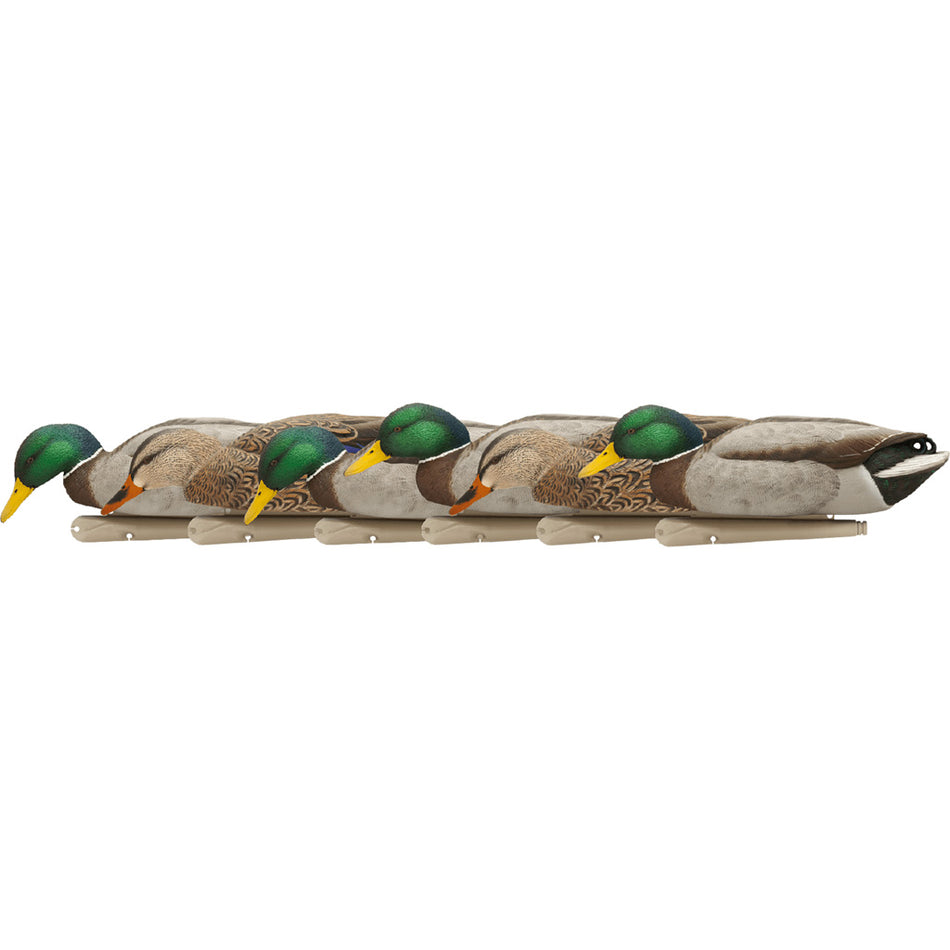 AvianX Top Flight Duck Decoys Backwater Mallards 6 Pack