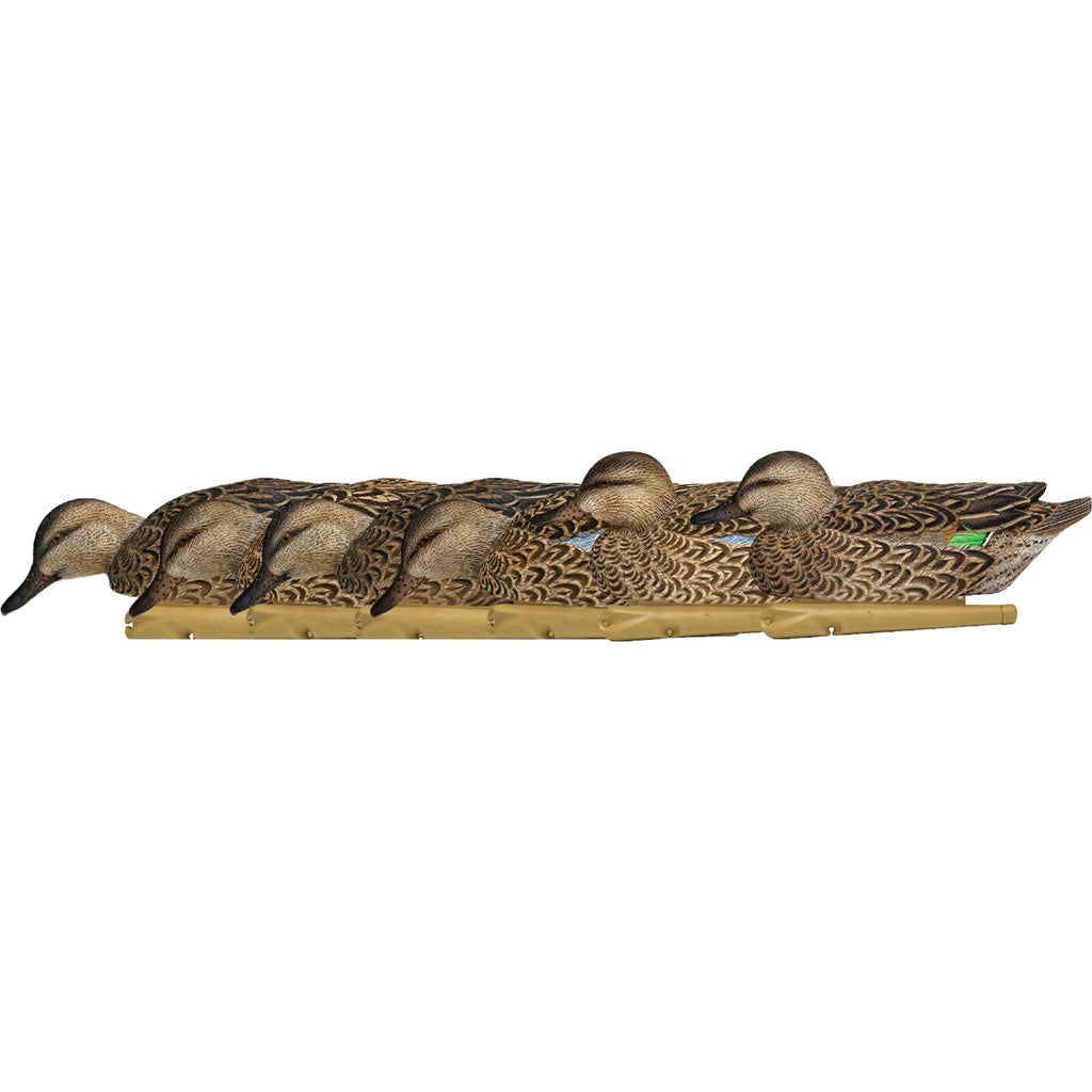 AvianX Top Flight Duck Decoys Early Season Teal 6 Pack