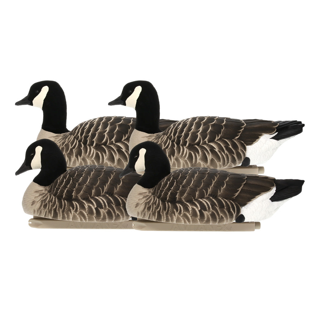 AvianX Top Flight Goose Decoys Lesser Canada Goose 4 Pack