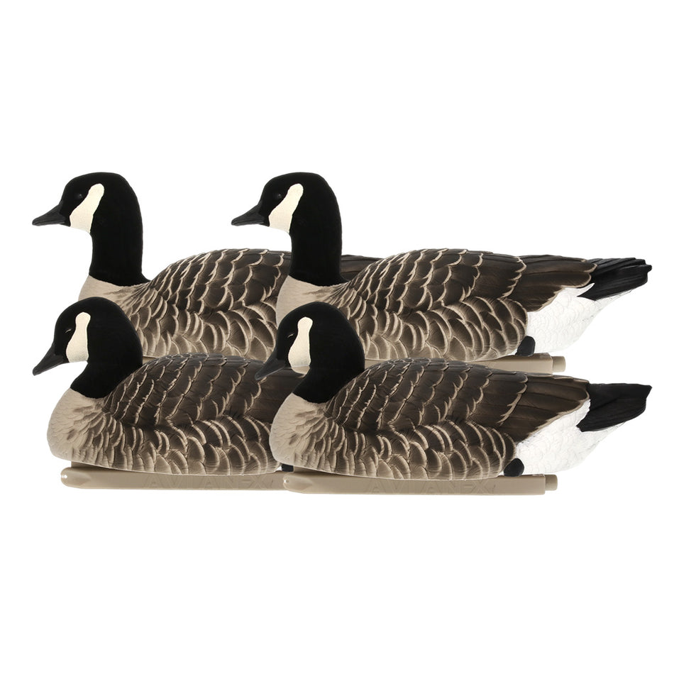 AvianX Top Flight Goose Decoys Lesser Canada Goose 4 Pack
