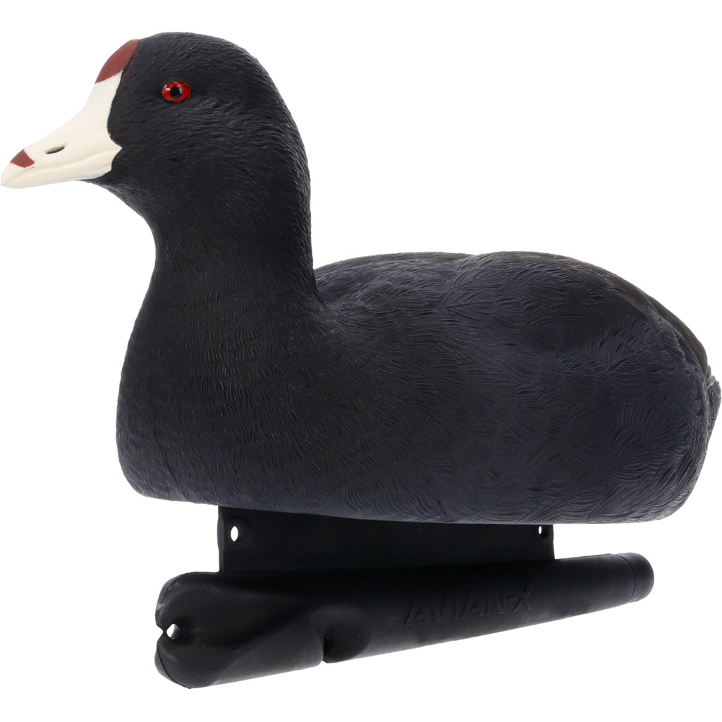 Avian X Topflight Coot Floating Decoy 6-Pack