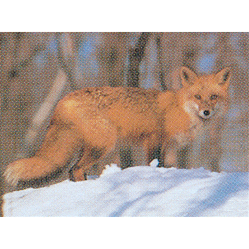 Delta McKenzie Tru-Life Target - Fox, 21" x 28" Paper